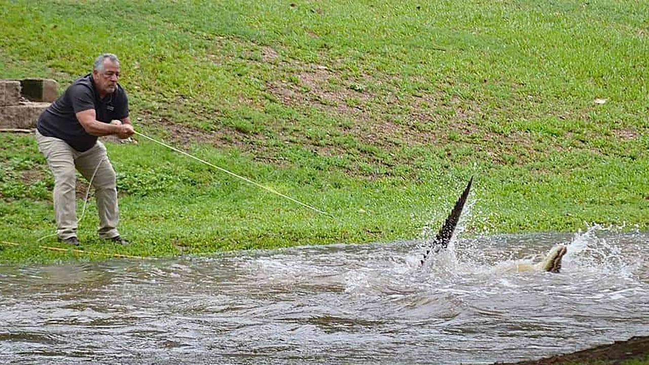 The croc performed a few death rolls after Tony Frisby latched a noose to its jaw. Picture: Handout / Courtesy of Jonty Fratus / AFP.