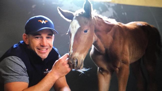 Billy Slater’s stables have already started the breeding program.