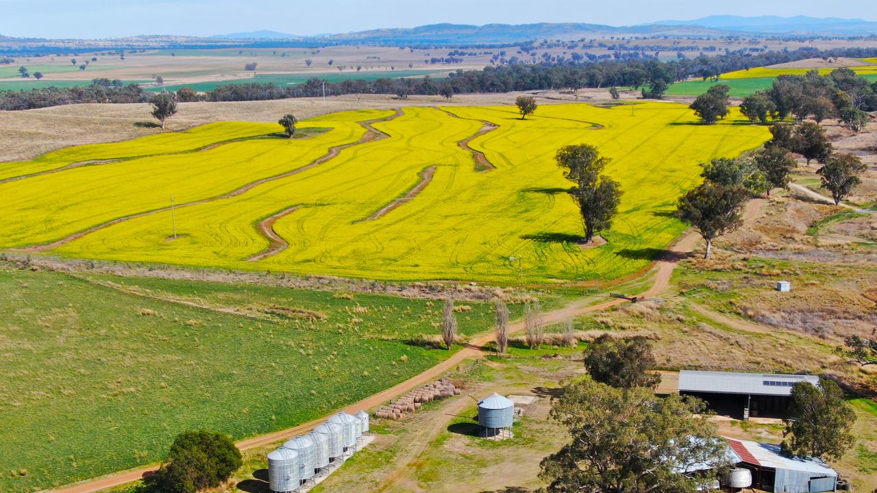 Tamworth trophy farm split between two buyers