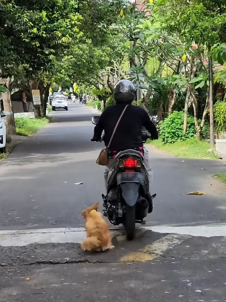 It was filmed by a local while he was picking his kids up from a nearby school. Picture: Nang Bryan Adventure/Instagram