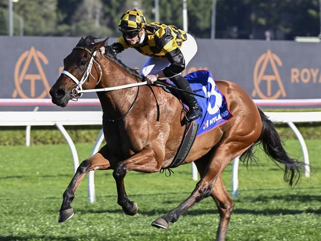 Trainer Chris Waller has Joliestar fresh and ready for the Everest. Picture: Bradley Photos