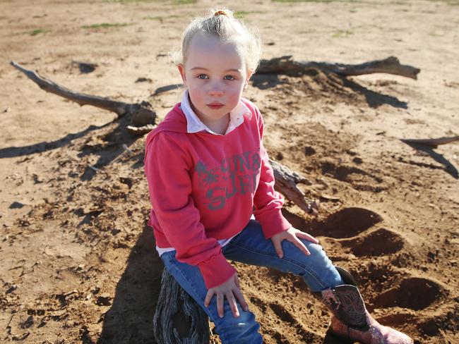 Despite being at “ground zero” for the state’s worst drought, Eve Holcombe is looking forward to Christmas. Picture: Sam Ruttyn