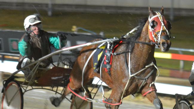 Satisfied Grin (Tim Yole) defeats Pretyboytroy (Paul Hill) in a C1 at UBET Park Hobart last night (1) Picture: PETER STAPLES