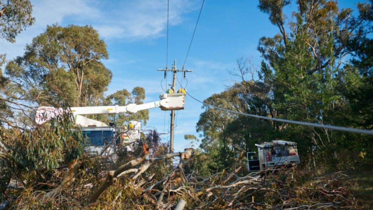 Powercor crews work to clear fallen trees after strong winds lash the region. Photo: Supplied.