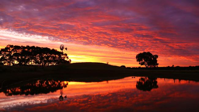 Kiri Handrek's photo of her farm at sunset.