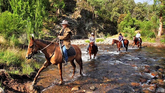 Victorian High Country – Victoria - Horses & Cattle