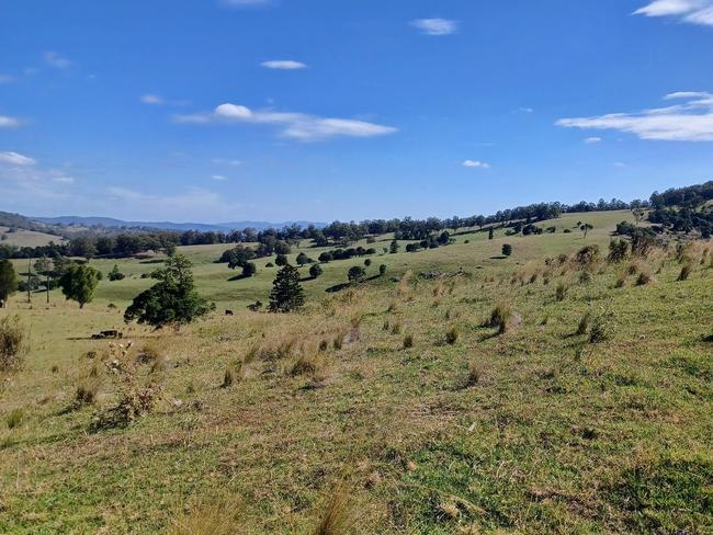 The Untamed Border Run features lush, rugged green terrain and multiple length tracks for all ages (Photo: Supplied)