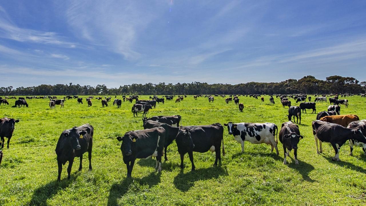 Dairy price comes alive for 2025