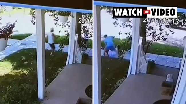 Hero dad saves daughter in vicious dog attack