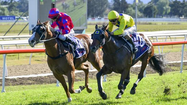 Deficit (right) is ready for the challenge of the 2400m of the Australia Day Cup at Warwick Farm. Picture: Bradley Photos