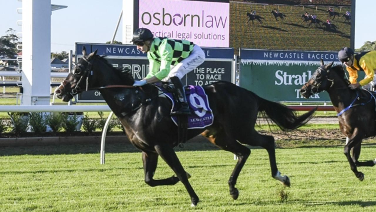 Newcastle, Wagga, Bowraville tips, inside mail for Saturday