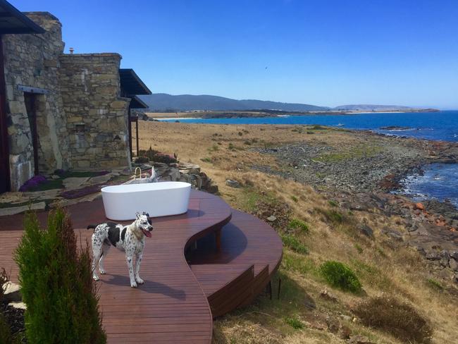 Liza-Jane Sowden’s dog Zorro takes in the view at Thalia Haven.