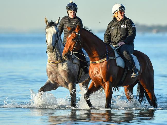 Johanne Taylor riding The Autumn Sun alongside D'argento (grey) at Altona Beach.