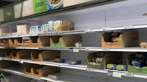 Woolworths is not introducing buying limits on eggs. Picture: Supplied