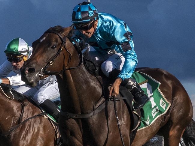 Jockey Jag Guthmann-Chester rode the Kacy Fogden-trained Holly Run in the BENCHMARK 65 Handicap (1800m) at the Gold Coast Turf Club on March 28, 2020. Picture credit: Greg Irvine, Magic Millions.