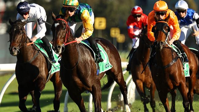 Ceolwulf is one of the leading contenders for Saturday’s Epsom Handicap. Picture: Jeremy Ng-Getty Images