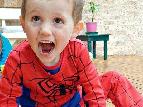 William Tyrrell went missing in 2014. Photo: Supplied