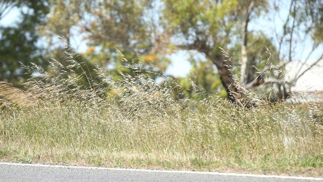 Residents are being urged to mow any long grass.