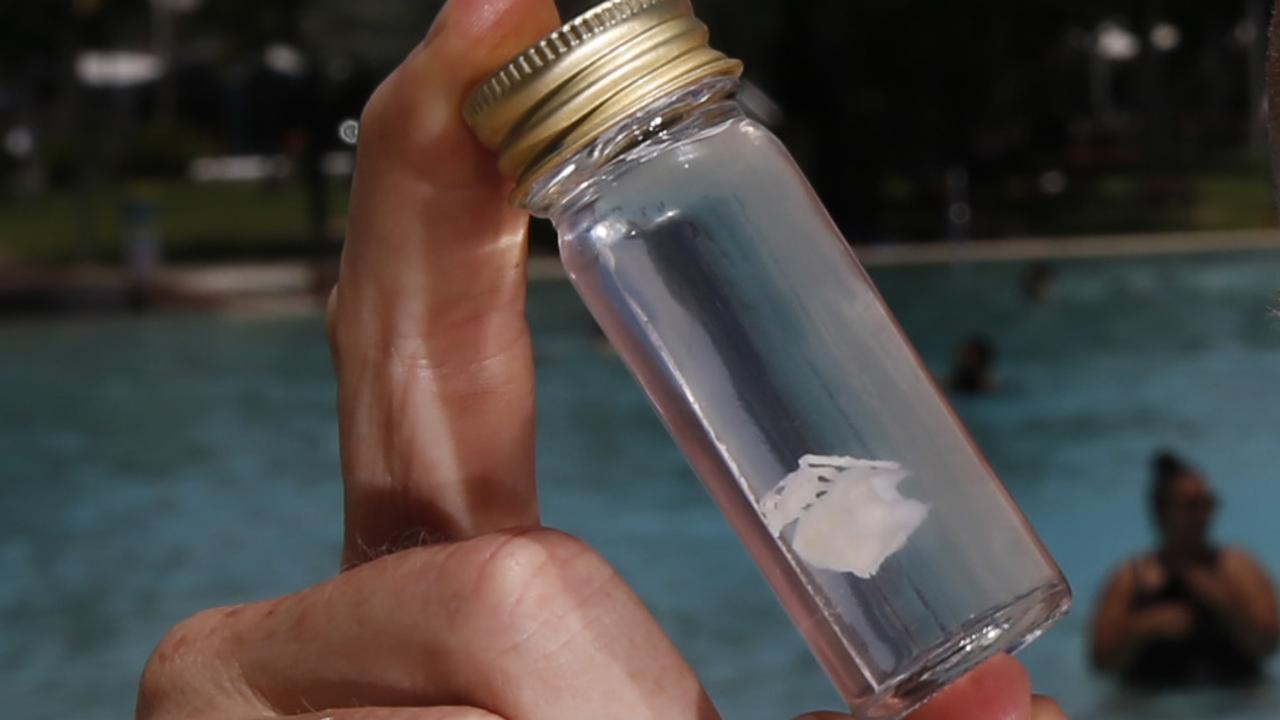 Irukandji jellyfish: JCU expert Dr Jamie Seymour has collected record ...