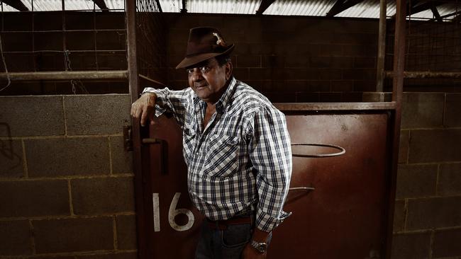 Ballina horse trainer Bill Pholi.