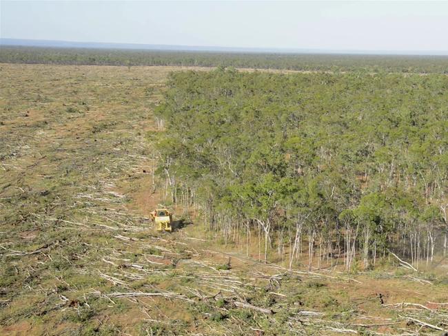 Land clearing in Olive Vale, Queensland. Kerry Trapnell/The Wilderness Society