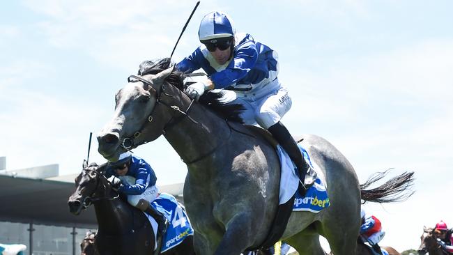 Impressive debut winner My Gladiola will attempt to remain unbeaten in Saturday's Group 2 Blue Diamond Prelude for fillies at Caulfield. Picture: Racing Photos via Getty Images.