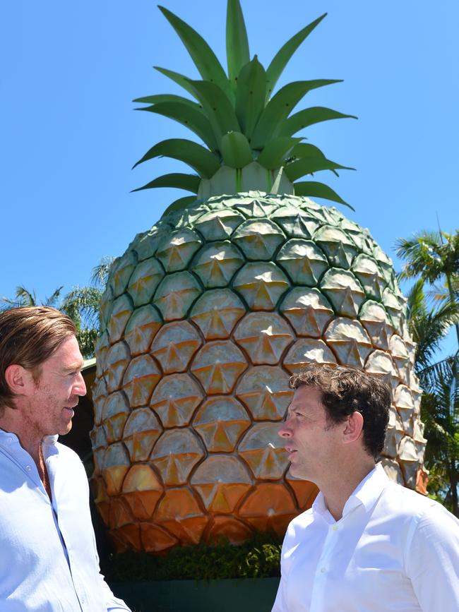 Big Pineapple is what one reader thinks we need - but didn’t we once have one?