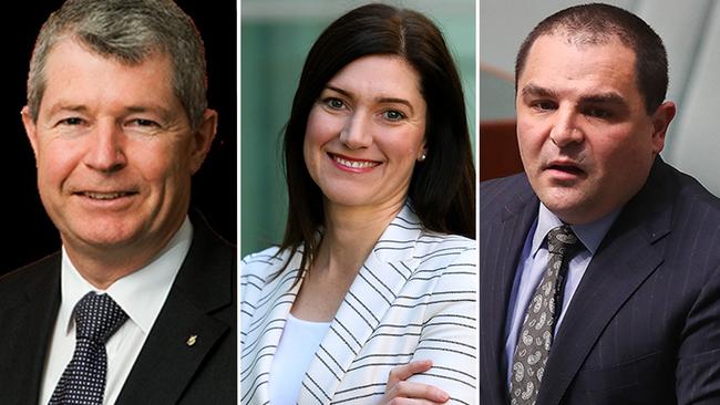 South Australian Liberal parliamentarians — David Fawcett, Nicolle Flint and Tony Pasin — who signed the petition.