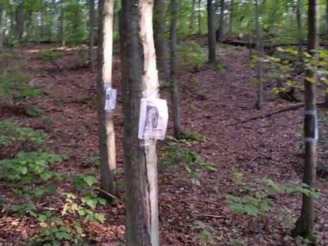 ‘missing Person Signs Cage Of Sticks Forest Hiker Makes Creepy Discovery Daily Telegraph 3849