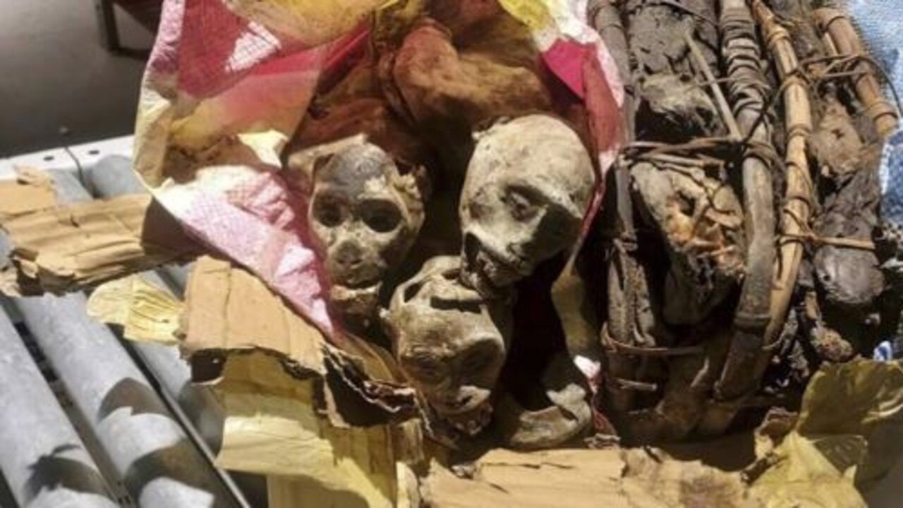 The gruesome find inside a man's suitcase. Picture: US Customs and Border Protection