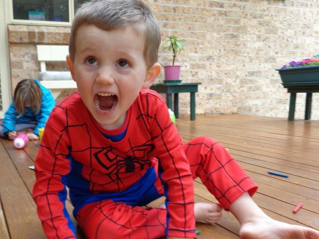 William Tyrrell disappeared from his foster home in Kendall, NSW on September 12, 2014. Supplied