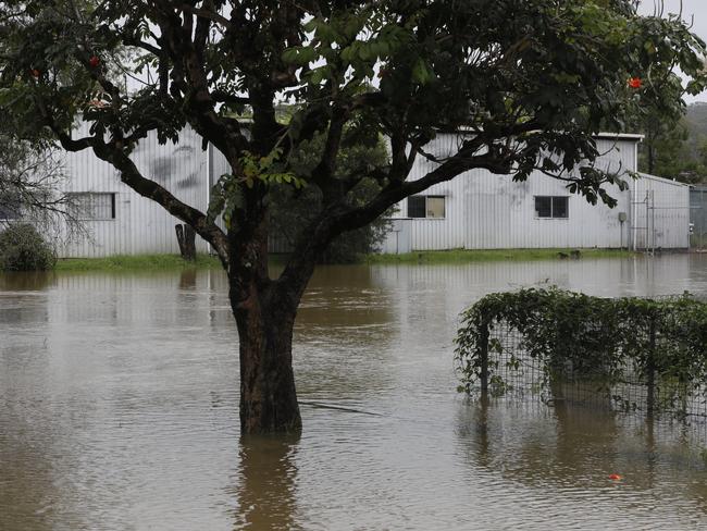 Billinudgel's main street was inundated with water on Thursday.