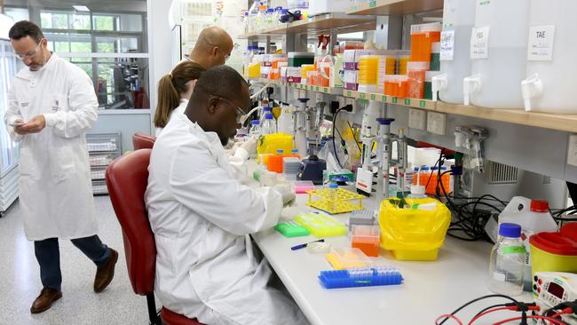 The team in the lab working on the Coronavirus vaccine. Photo Steve Pohlner