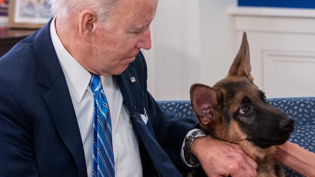 US President Joe Biden and dog Commander, who has been involved in at least 11 biting incidents since joining the family in 2011. Picture: Saul Loeb/AFP