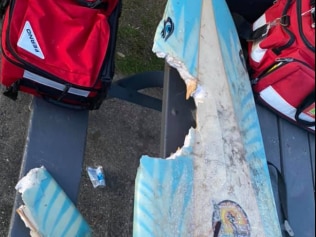The Department of Industries said analysing the bite taken out of the surfboard suggested it was a great white shark. Picture: Facebook