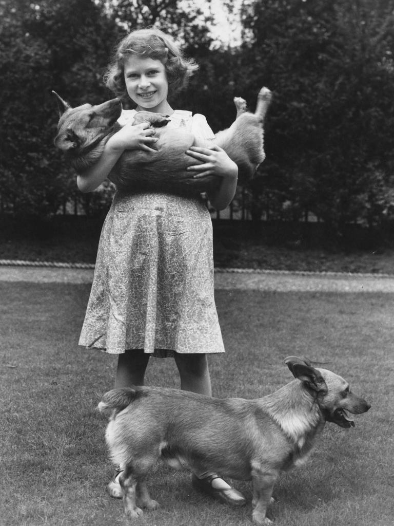 A then-Princess Elizabeth with two corgi dogs in London in 1936. Picture: Lisa Sheridan/Studio Lisa/Hulton Archive/Getty Images