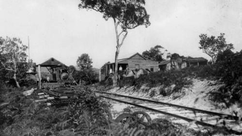 Bogimbah Terminus Railway Line, Fraser Island, c. 1905–1935. A key part of the timber industry’s transport network on Fraser Island. Source: Unknown