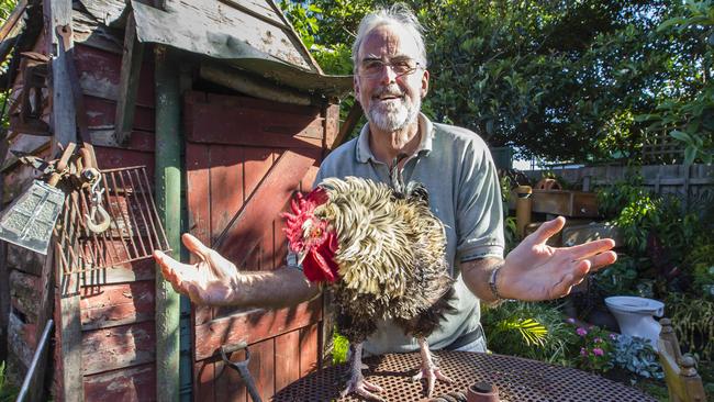 Tooradin resident Ross Wilkie with his rooster. Who are some of the loveable characters in your neck of the woods? Picture: Valeriu Campan