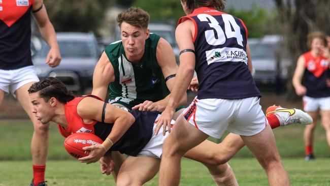 It was three close games between Montrose and Wantirna South last season. Picture: Davis Harrigan