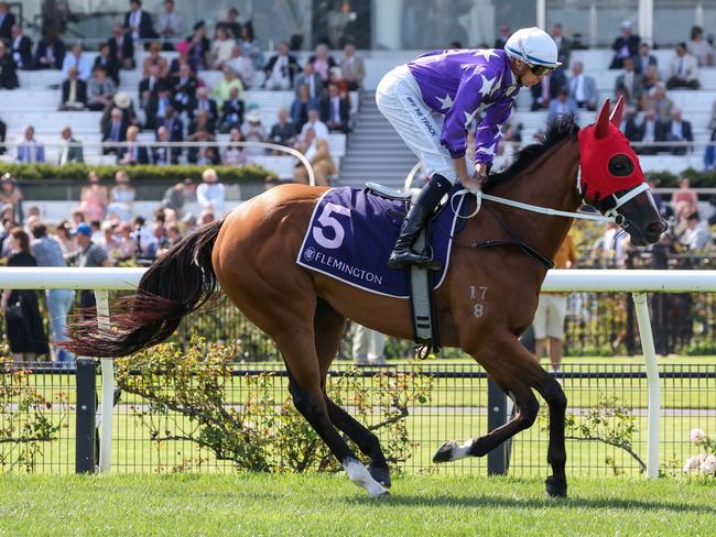 Espiona ridden by Michael Dee on the way to the barriers prior to the running of  the Black Caviar Lightning at Flemington Racecourse on February 17, 2024 in Flemington, Australia. (Photo by George Sal/Racing Photos via Getty Images)