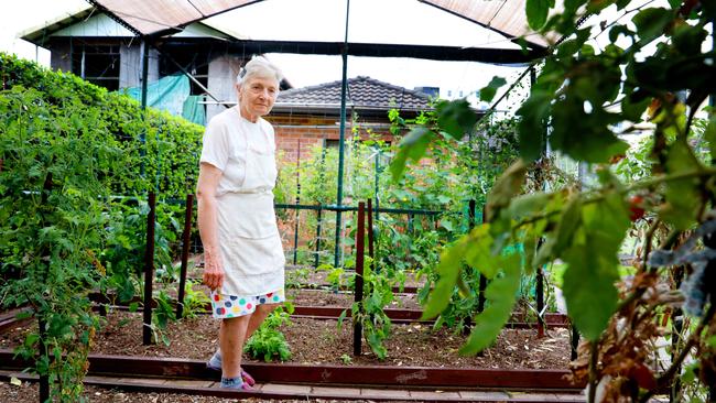 Tomatoes are ripe for the picking but not Kakica and Ivan’s home. Picture: Angelo Velardo