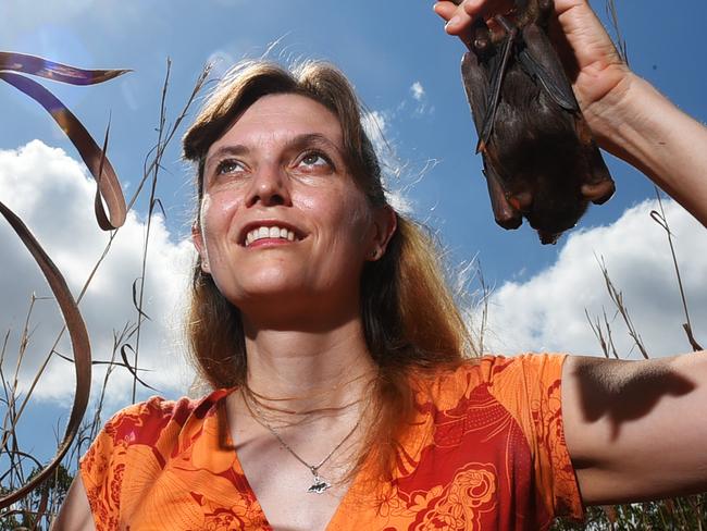 Andrea Ruske with bat Susan moved to the NT from Germany 10 years ago she started volunteering to rescue native animals - she is a committee member of Wildcare NT and mentors new carers, she is the secretary for Ark Aid Inc and volunteers for AMRRIC, she has been nominated for a Pride of Australia award.