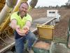 Barley narrows gap on wheat as drought drives market