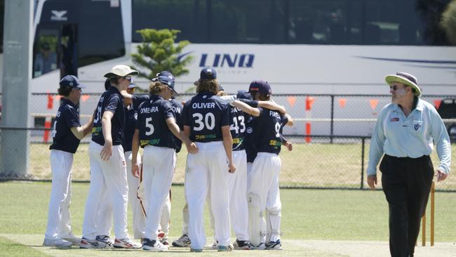 Elsternwick junior players celebrate a wicket against Brighton in the J.G Craig Shield representative competition. Picture: Valeriu Campan