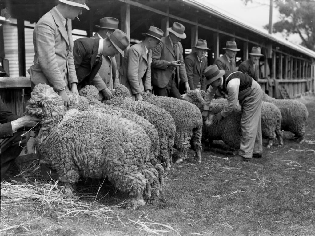 Mercury Archive historical file picture Royal Hobart Show.