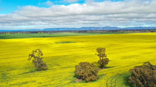 The 349ha Ridd’s Block, near Wal Wal, was sold through an online auction on Friday.