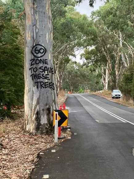 The road has already been widened around the tree. Picture: Supplied