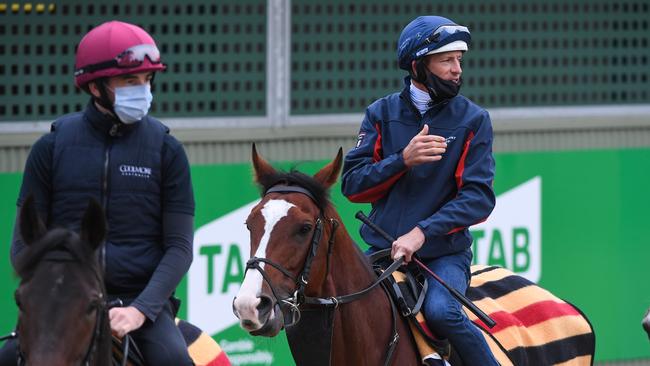 Tiger Moth, left, and Anthony Van Dyck ridden by Hugh Bowman before galloping during trackwork at Werribee Racecourse. Picture: Getty Images