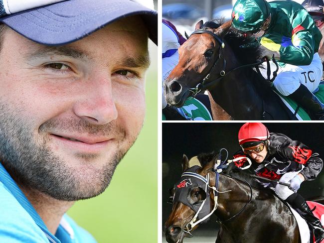 Trainer Billy Healey, who prepared Alligator Blood (top right) for three starts early in the superstar galloper's career, now has Cosmic Fire (bottom right) flying the flag for his stable.
