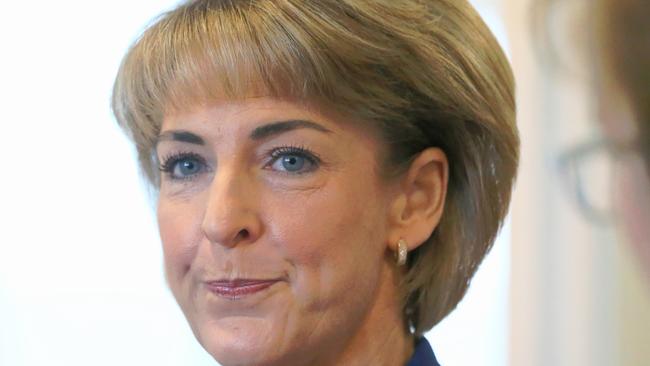 Minister for Employment Michaelia Cash has been crudely depicted in the Facebook post.